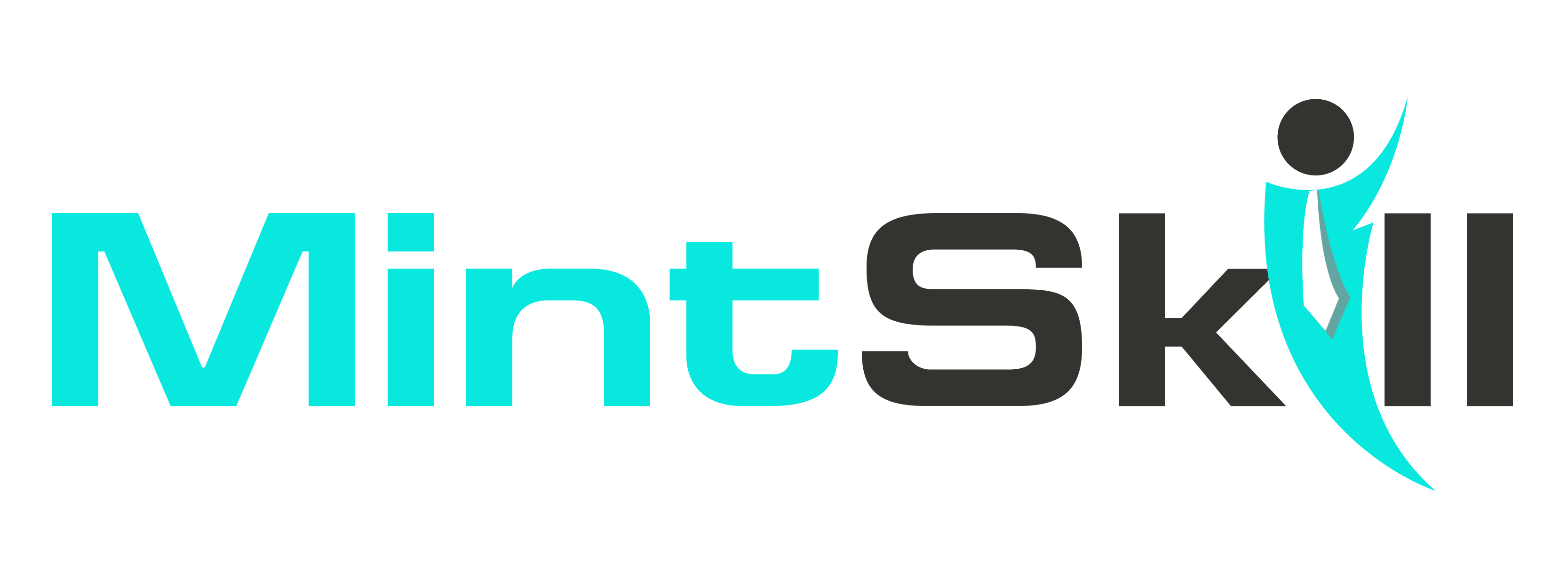 mintskill